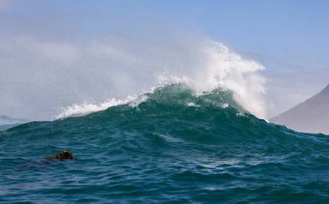 Big waves breaking on an reef along the coast of South Africa Stock Photos