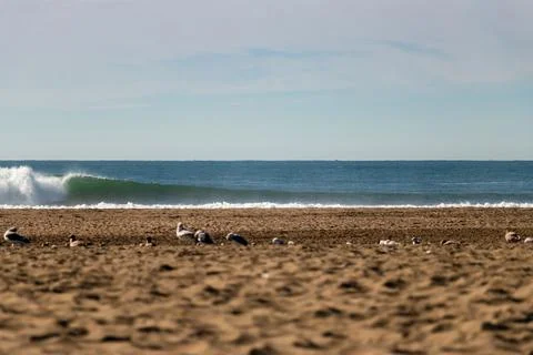 Big Waves Breaks in Northern California near San Francisco Stock Photos