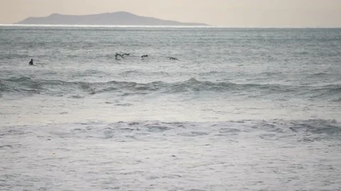 Big waves in Ventura, CA Stock Footage 144794480