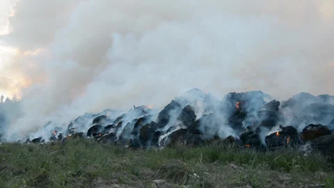 Big wheat fire Stock Footage 135844121
