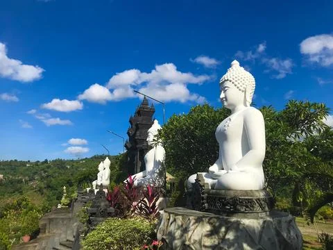 Big White Buddha Statues Side By Side Beside The Gate In The Garden  Stock Illustration