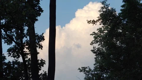 Big white cloud on a sunny day in between green trees wind and small flying bird Stock Footage 121921819