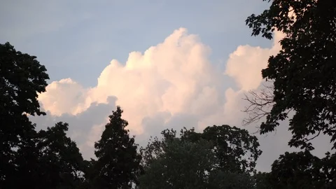 Big white cloud on a sunny day in between green trees wind and small flying bird Stock Footage 121922938