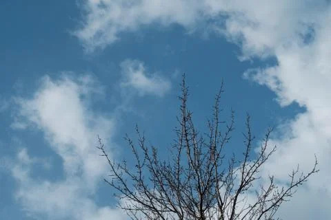Big white clouds in the blue sky Stock Photos