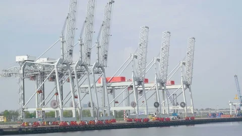 Big white cranes fronting the port where lots of cargoes are Stock Footage 79080518