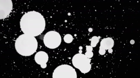 Big White Drops Stock Footage 42146566