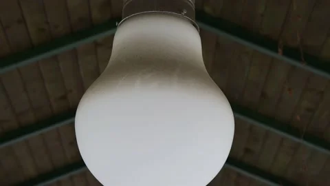 A big white light bulb on the ceiling Stock Footage 175192881