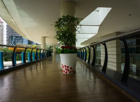 A big white pot with tree in the middle of hall at Central Park Mall photo taken Stock Photos
