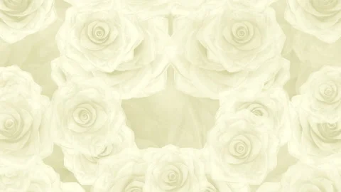 Big white rose buds fall down, loop background Видео 103353606