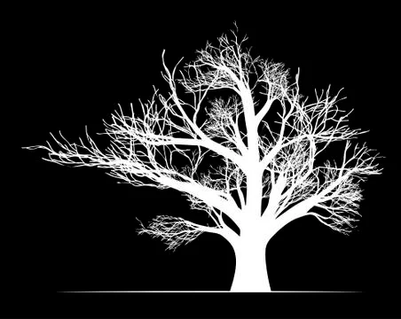 Big white tree on black background Stock Illustration