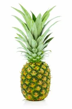 Big whole pineapple fruit Stock Photos