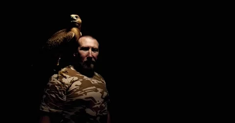 Big wild hawk is sitting on a shoulder of its trainer, black background, 4k Stock Footage 135648309