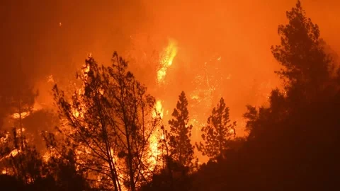 Big Wildfire 2 Stock Footage 296364118