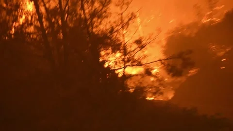 Big Wildfire 4 Stock Footage 296364119