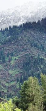 Big wind storm in mountain Stock-Fotos