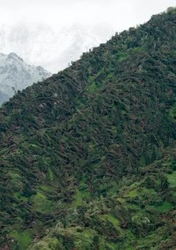 Big wind storm in mountain Foto stock