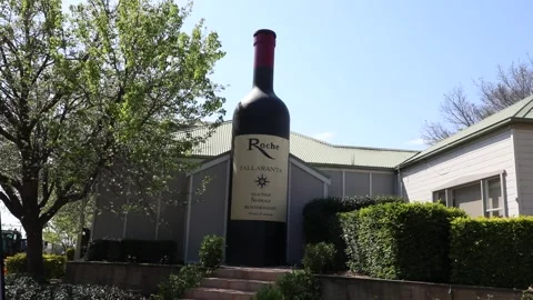 The Big Wine Bottle Stock-Footage 249993020