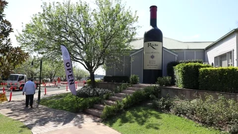 The Big Wine Bottle Stock-Footage 249993038