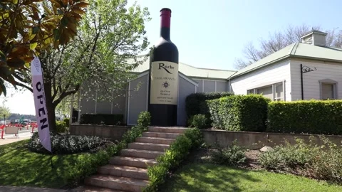 The Big Wine Bottle Stock Footage 249993055