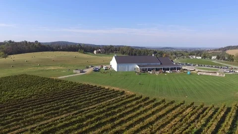 Big Winery Flyover 動画素材 89558317