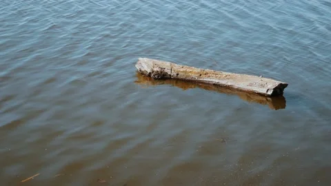 Big wooden log floating by flow on the river water surface Stock-Footage 140690338