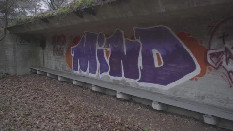 Big word graffiti mind and skull on concrete wall pan Stock Footage 153476013