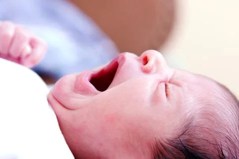 The big yawn Stock Photos