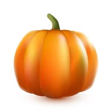 Big yellow pumpkin  on white background Illustrazione stock