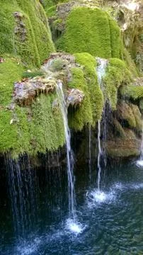 Bigar in Romania 写真素材