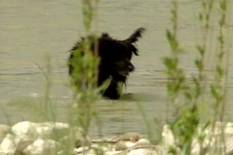 BigbenTX 16 Video stock 295947