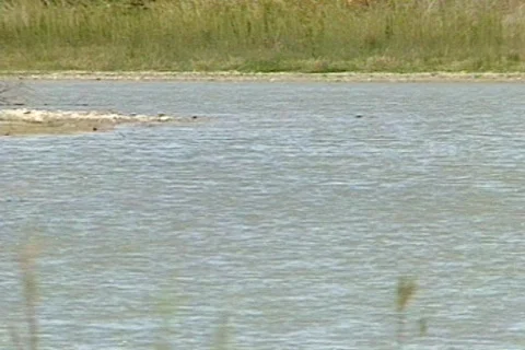 BigbenTX 17 Stock Footage 295963