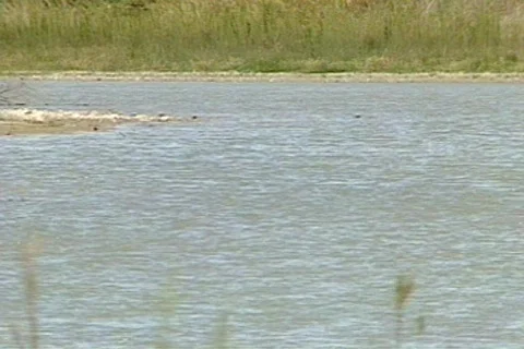 BigbenTX 18 Stock Footage 295965