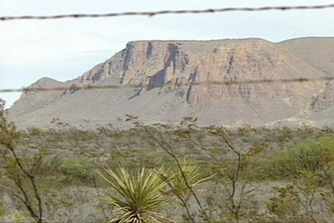 BigbenTX 3 Stock Footage 295990