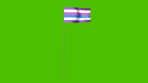 Bigender rainbow flag waving in the wind. 3D animation of a bigender Stock Footage 133786443