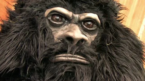 Bigfoot 3 스톡 동영상 11139313