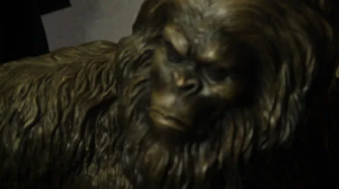 Bigfoot bronze rack focus fantasy angry monster Stock Footage