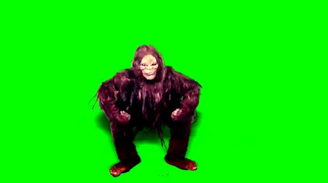 Bigfoot - Flexing - Green Screen 動画素材 38659604