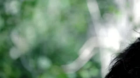 Bigfoot Stock-Footage 12670168