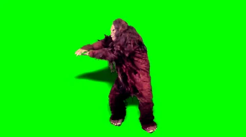 Bigfoot - Money Shuffle - Green Screen 動画素材 38677053