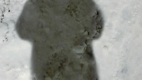 Bigfoot shadow on snow Stock Footage 229286033