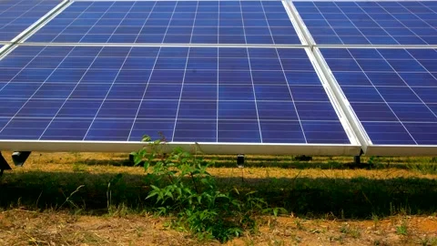 Bigg Solar panel power plant in india Stock Footage 211371052