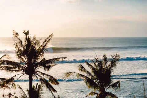 Biggest ocean waves for surfing and coconut palms in Bali Stock Photos