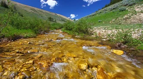 Bighorn Mountains Stream Stock Footage 20592233