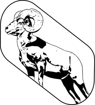 Bighorn sheep Flat Vector Illustration  Stock Illustration