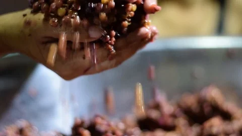 Bignay home wine processing hand crushing, mashing and squeezing of fruit Stock Footage 92306021