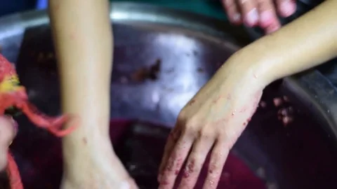 Bignay home wine processing hands being cleaned of pulp after mashing the fruit Stock Footage 92306244