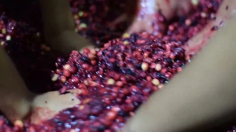 Bignay home wine processing many hands mashing and crushing of fruit Stock Footage 91299013