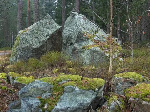 Bigrock3 Stock Photos