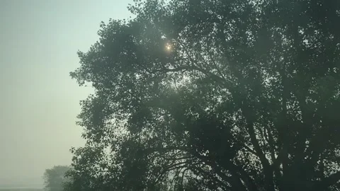 Bihar, India: Sunlit Mountain Train Journey 库存影片 331935763
