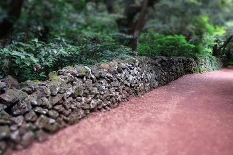 Bijarim Forest Stock Photos